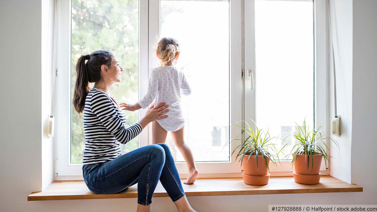 Fenster von LA-MA moderne Bauelemente GmbH aus Parchim